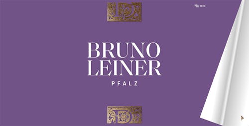 Bruno Leiner