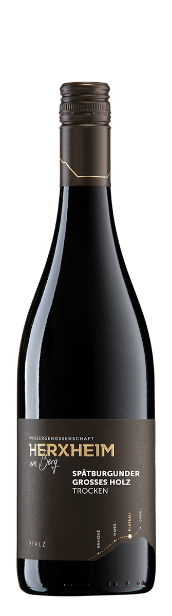 2019 Spätburgunder "Großes Holz" Rotwein