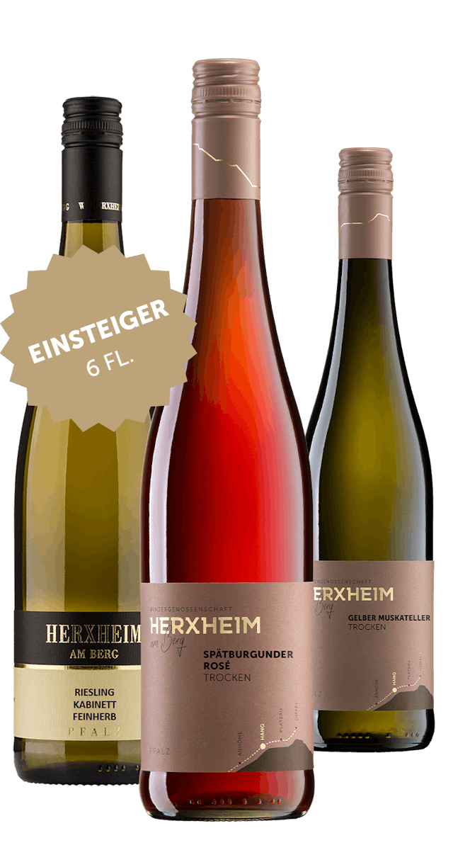 Angebot: 6 Flaschen Einsteiger Paket