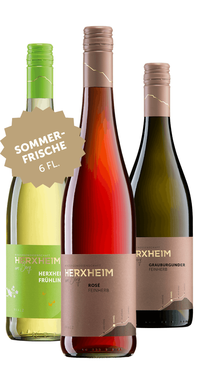 Angebot: 6 Flaschen Sommerfrische