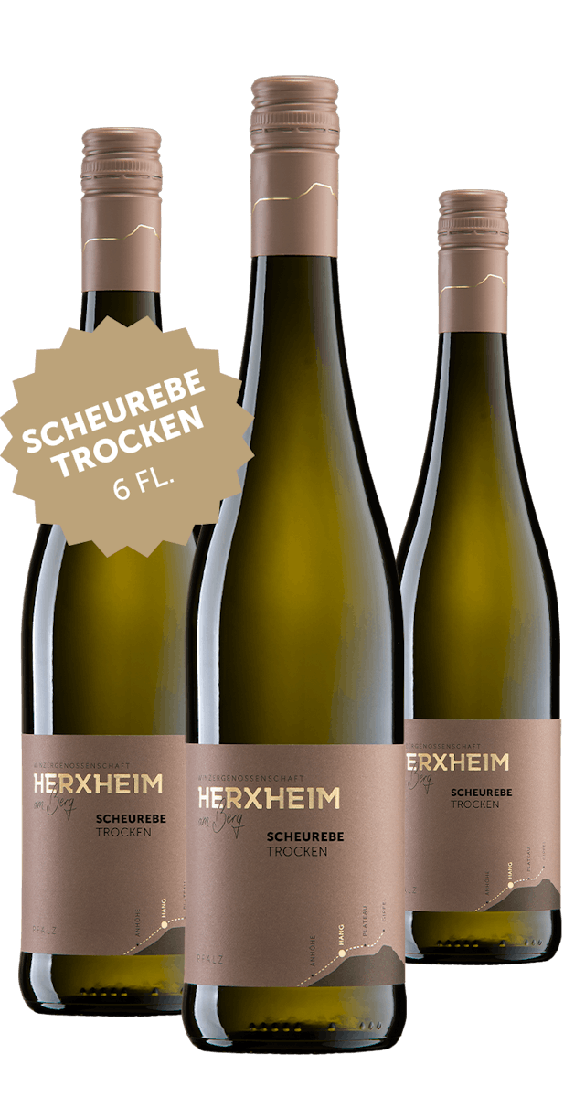 NEUHEIT: 6 Flaschen 2019 Scheurebe trocken