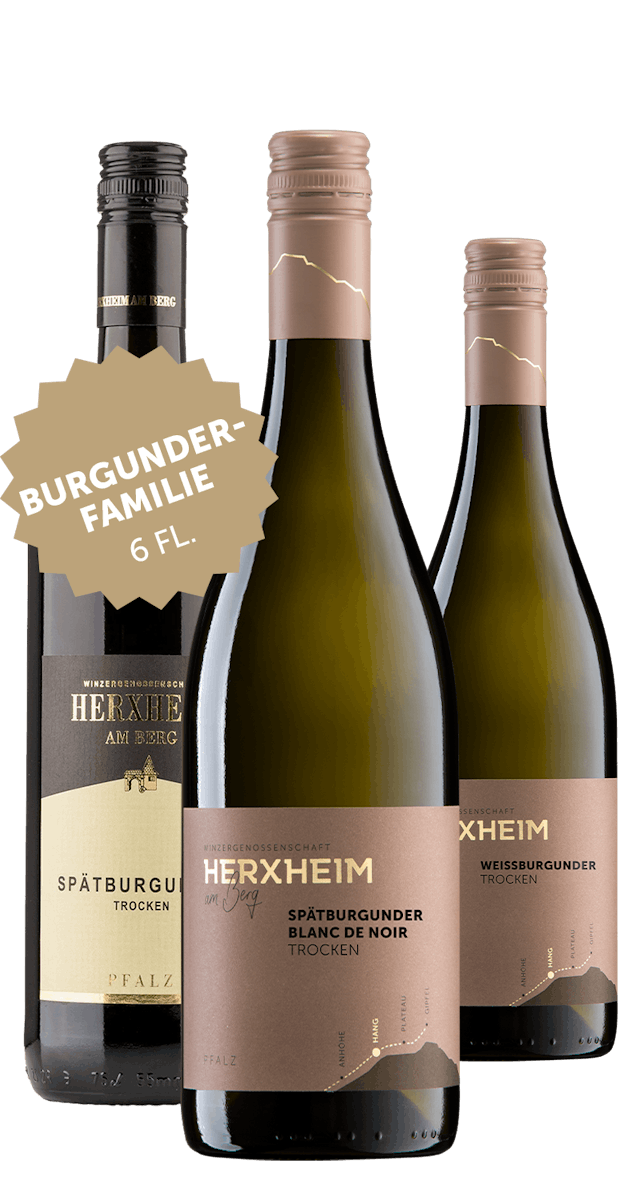 Angebot: 6 Flaschen Burgunderfamilie