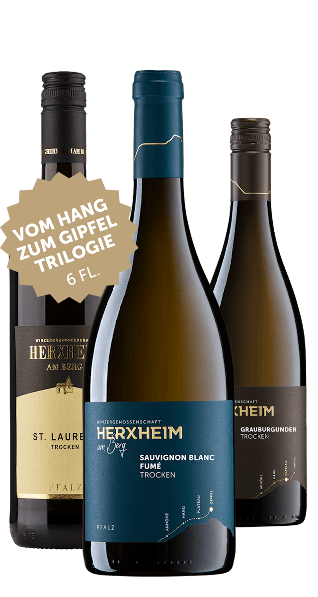 Angebot: 6 Flaschen vom Hang zum Gipfel