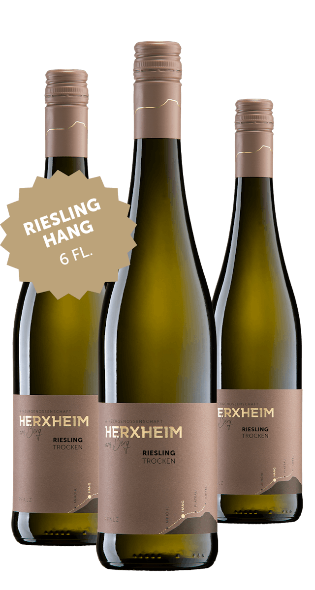 Angebot: 6 Flaschen Riesling trocken