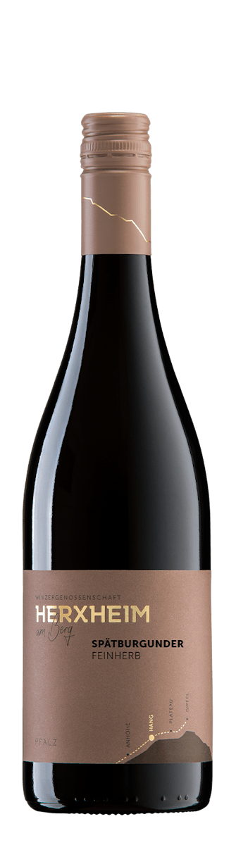 2020 Spätburgunder Rotwein Feinherb