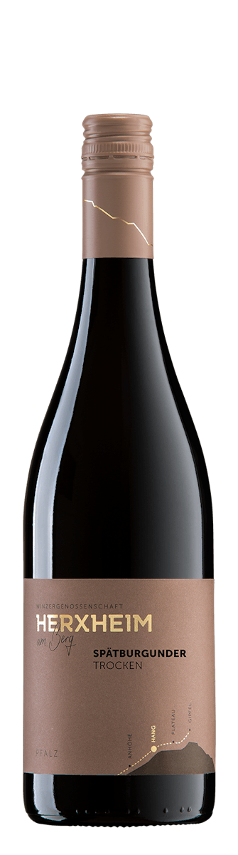 2019 Spätburgunder Rotwein trocken