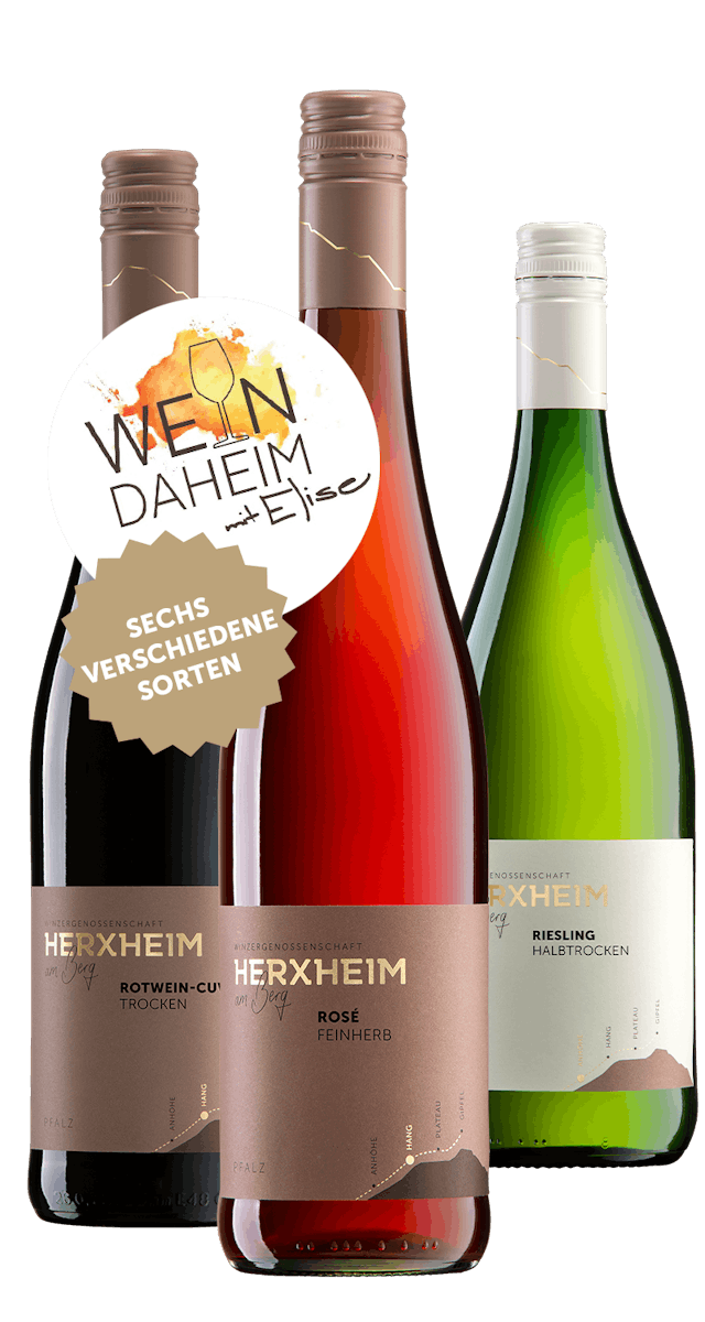 Online Weinprobe am 12.2.2021 "Wein Daheim mit Elise"