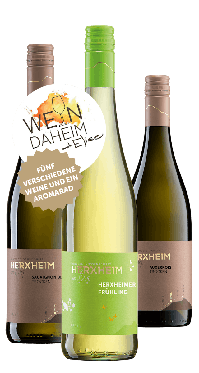 Online Weinprobe am 19.3.2021 "Wein Daheim mit Elise"