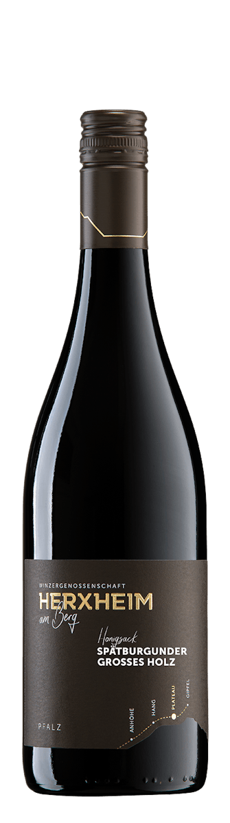 2019 Spätburgunder "Großes Holz" Rotwein trocken