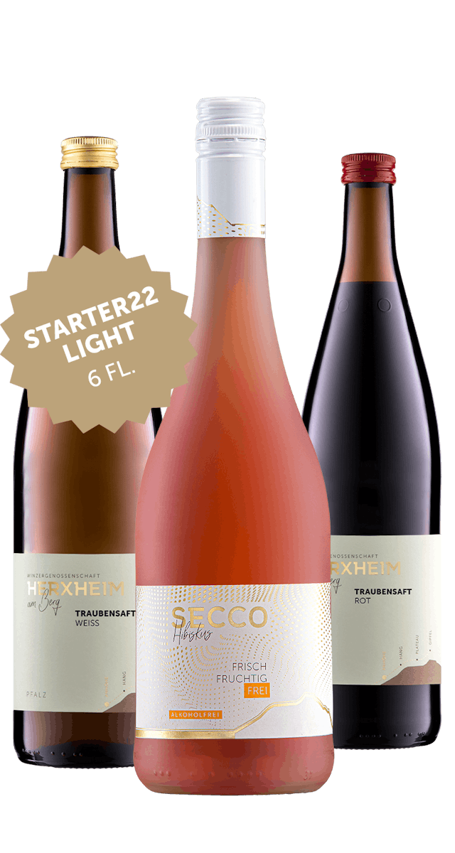 STARTER 22 - LIGHT