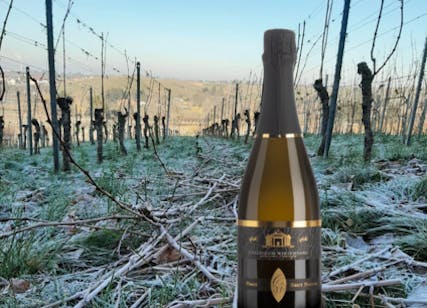 Der neue Pinot Sekt