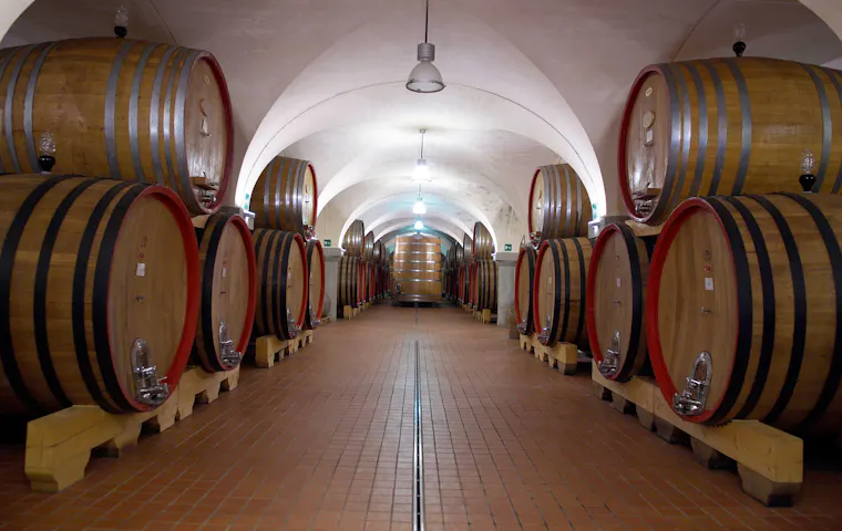 Langer Gewölbekeller mit großen Weinfässern auf beiden Seiten