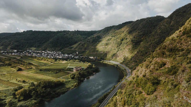  Andreas Oster - Vineyards and river Mosel