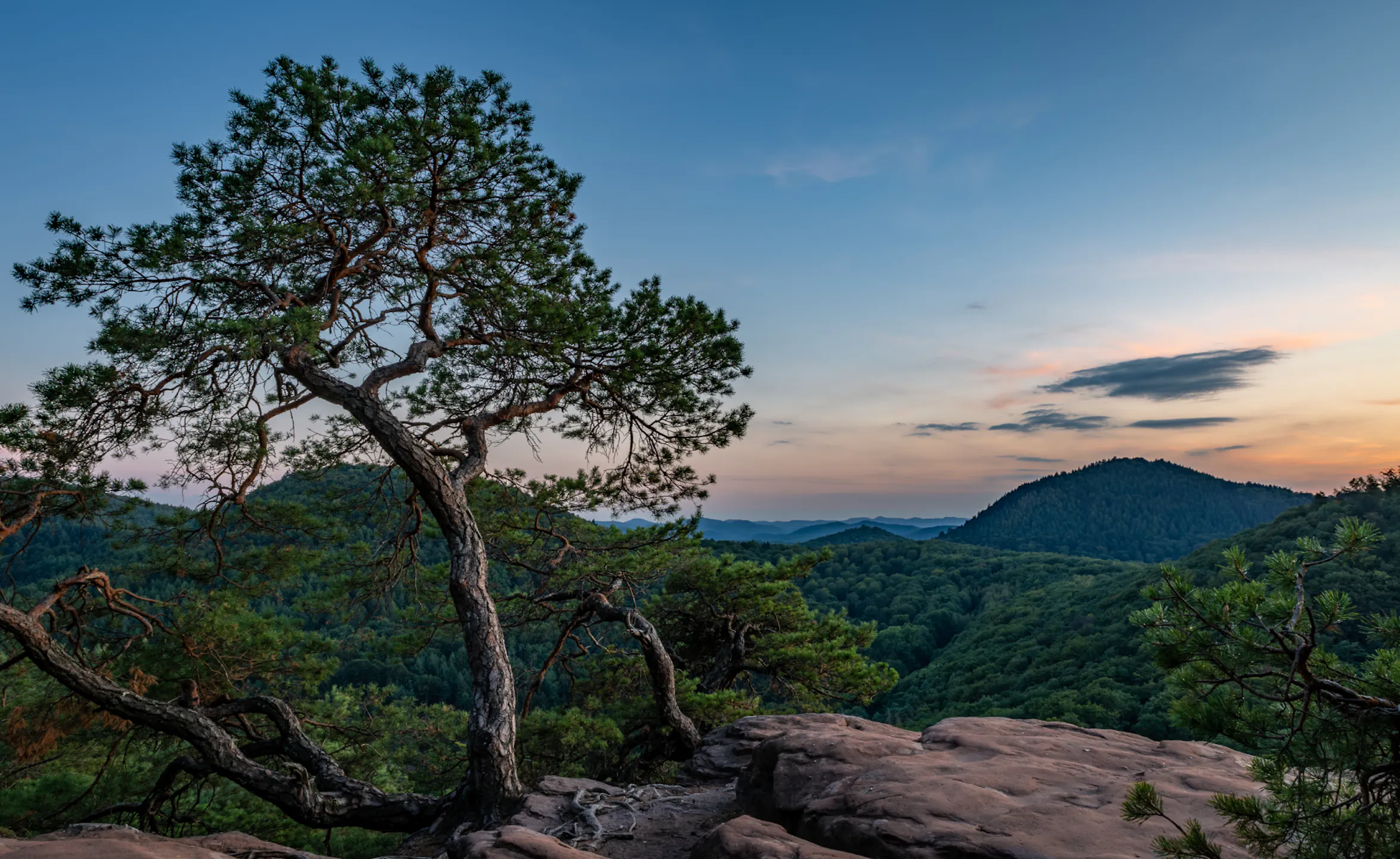 iStock-1492836564.png