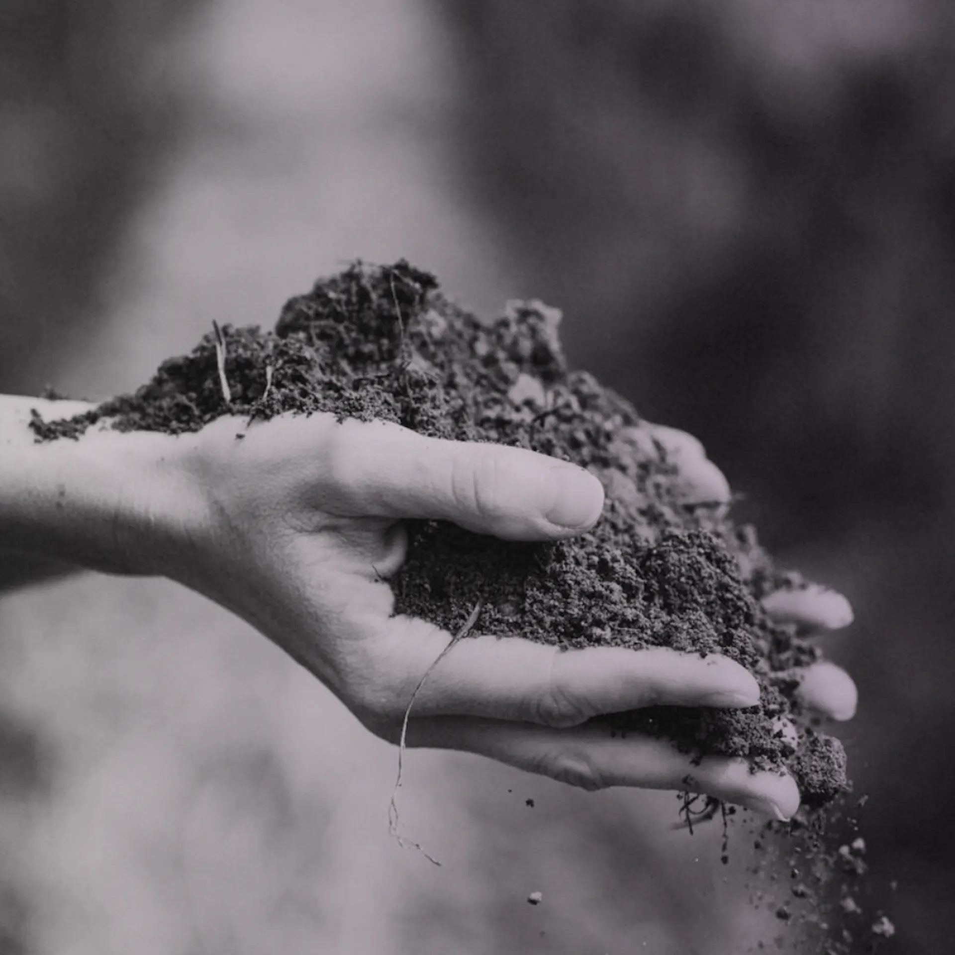 Komponente 8 – 1.png